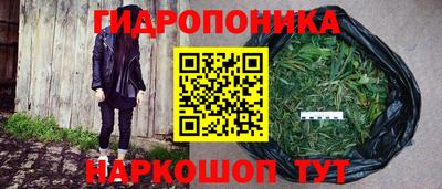 индика Волгодонск