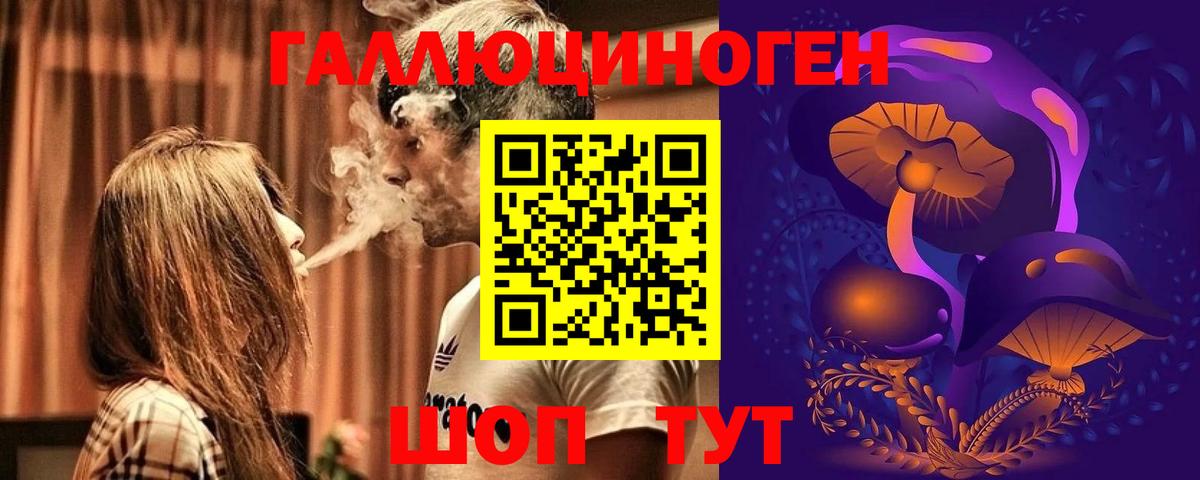Галлюциногенные грибы Psilocybe  Псилоцибиновые грибы Psilocybine cubensis  Вход с VPN  Богородицк 